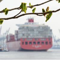 1830_2120 Kastanienblätter im Frühling am Elbufer. | Bilder vom Fruehling in Hamburg; Vol. 1